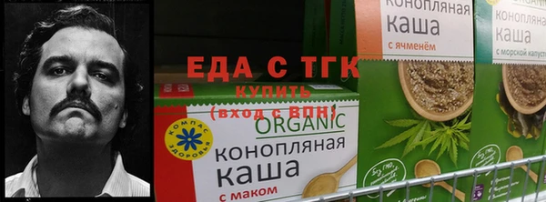 дурь Алзамай