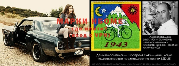 дурь Алзамай