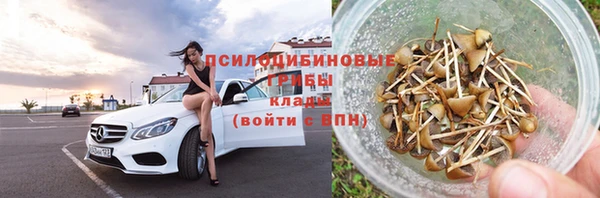 дурь Алзамай