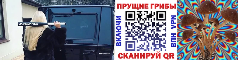 Псилоцибиновые грибы прущие грибы  Ленинск-Кузнецкий 