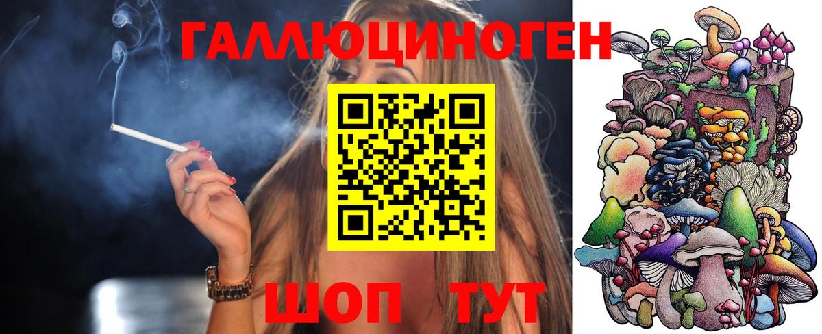 Галлюциногенные грибы GOLDEN TEACHER Ленинск-Кузнецкий
