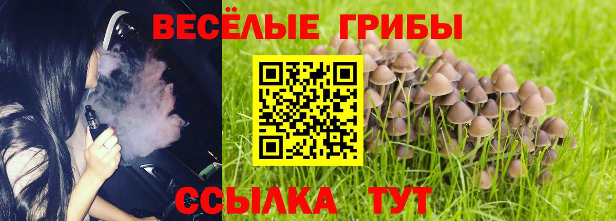 Ленинск-Кузнецкий  сколько стоит  Вход с VPN  Галлюциногенные грибы мицелий  Галлюциногенные грибы ЛСД 